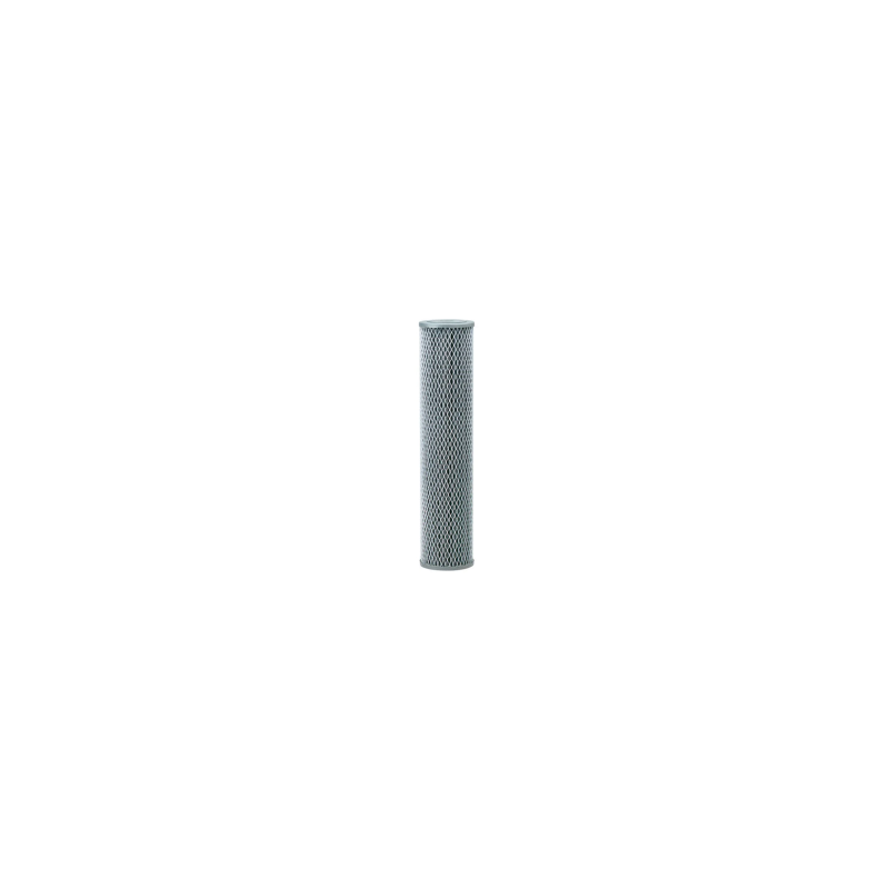 Filtro Big Blue 4.5"X20" 10 M. – 155382-43
