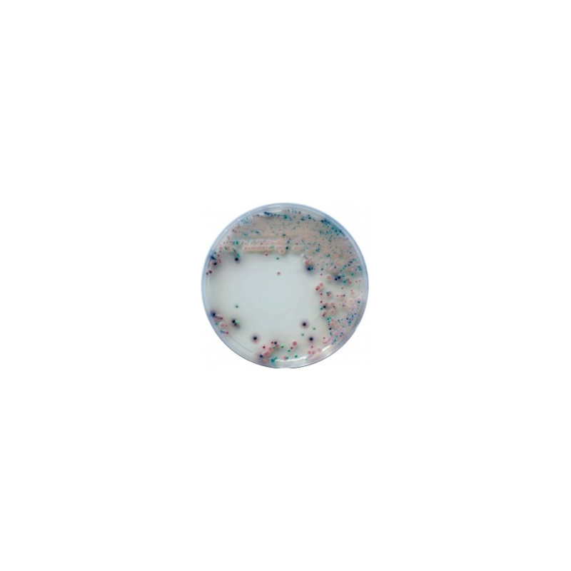CHROMagar Candida (1L)
