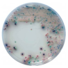 CHROMagar Candida (1L)
