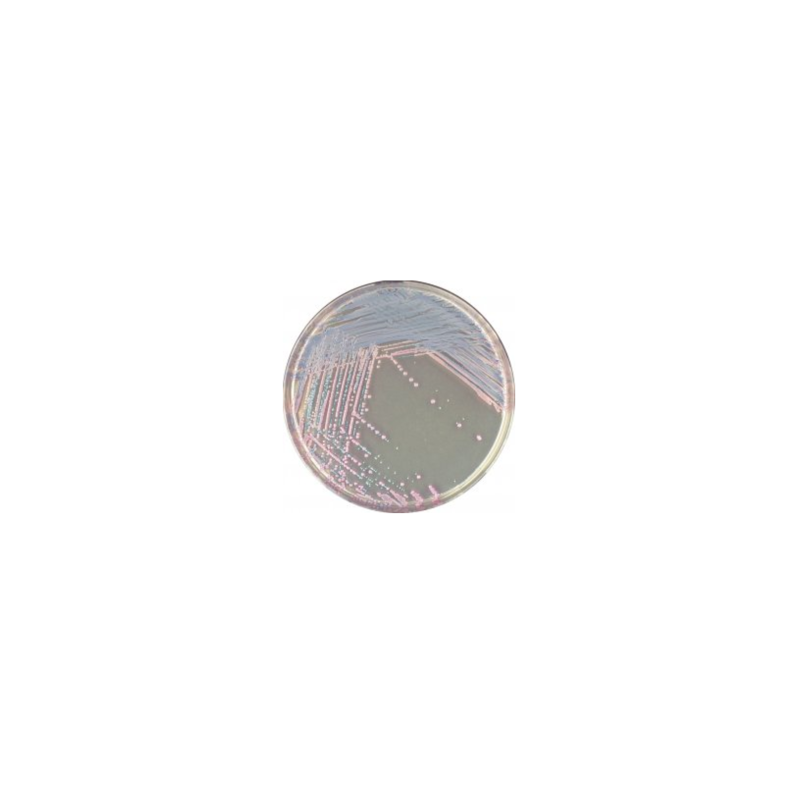 CHROMagar Staph. Aureus (1L)