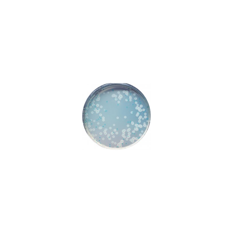 CHROMagar Listeria (5L)