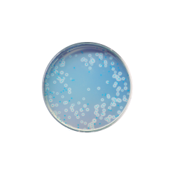 CHROMagar Listeria (1L)