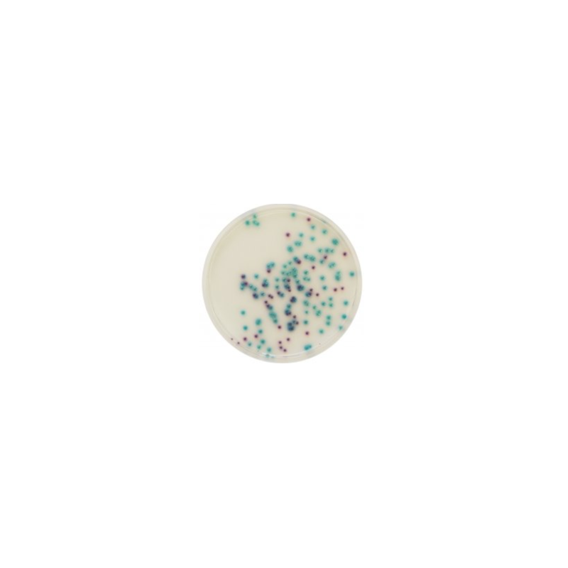 CHROMagar Pseudomonas (1L)