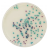 CHROMagar Pseudomonas (1L)