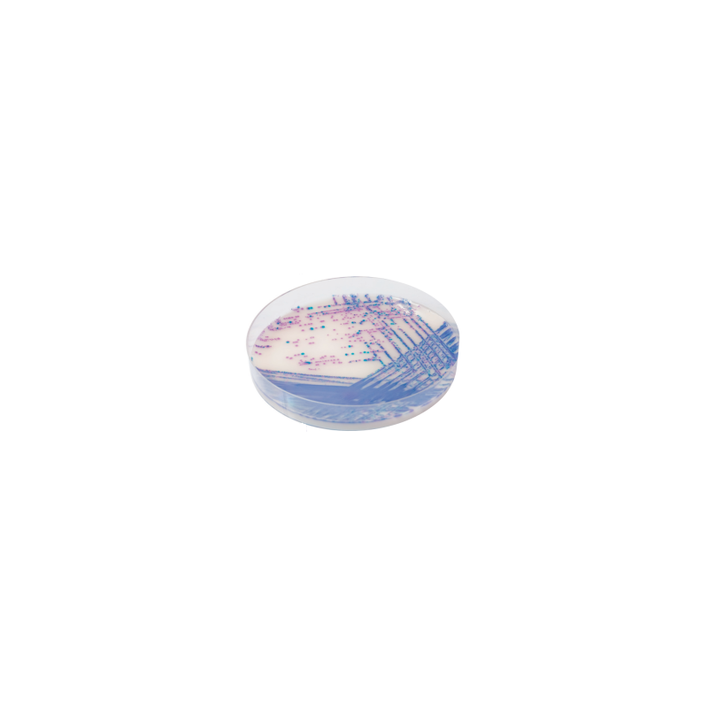 CHROMagar Salmonella Plus (25L)