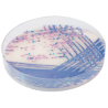 CHROMagar Salmonella Plus (25L)