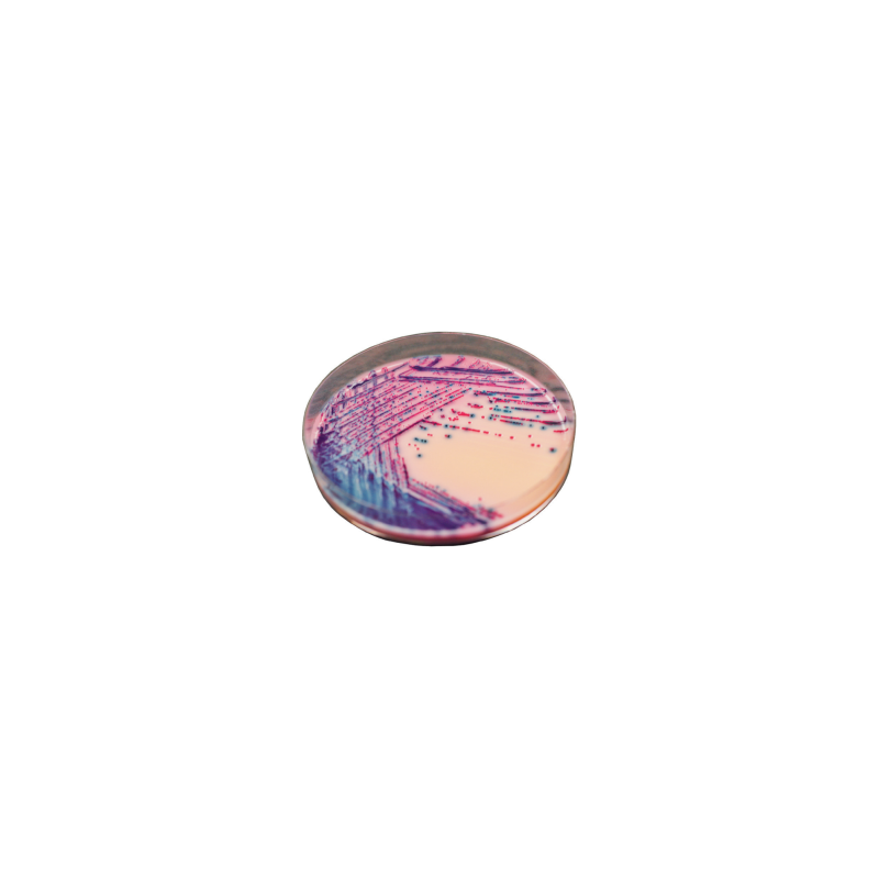 CHROMagar Rambach Agar (25L)