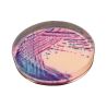 CHROMagar Rambach Agar (25L)