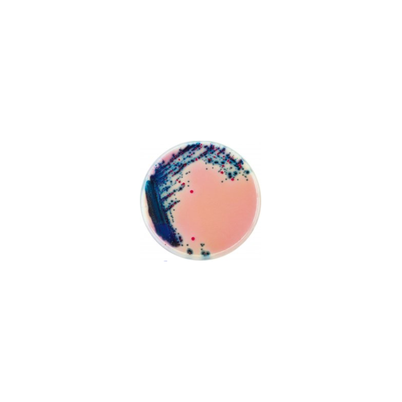 CHROMagar Rambach Agar (4x1L)