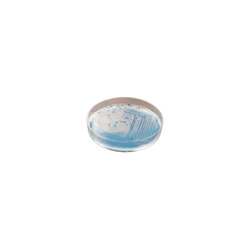 CHROMagar O157 (5L)