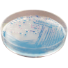 CHROMagar O157 (5L)