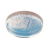 CHROMagar O157 (5L)