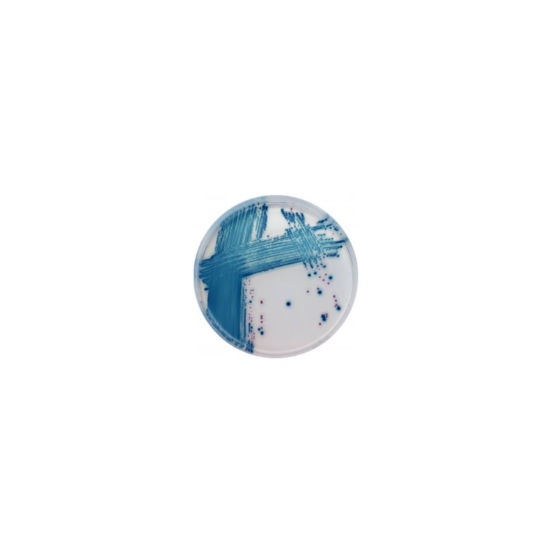 CHROMagar STEC (1L)