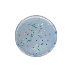 CHROMagar E.sakazakii (5L)